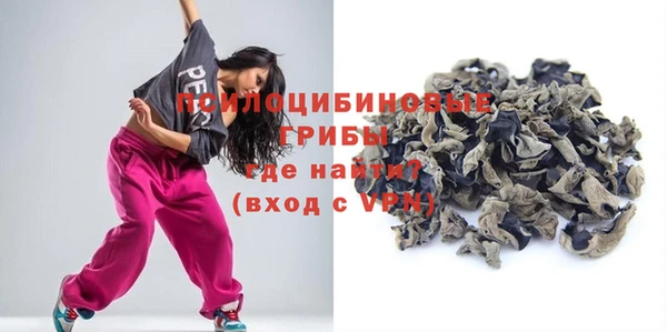 a pvp Дмитровск
