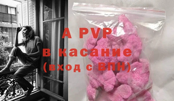 таблы Дмитриев