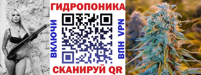 Канабис гибрид закладка Звенигово